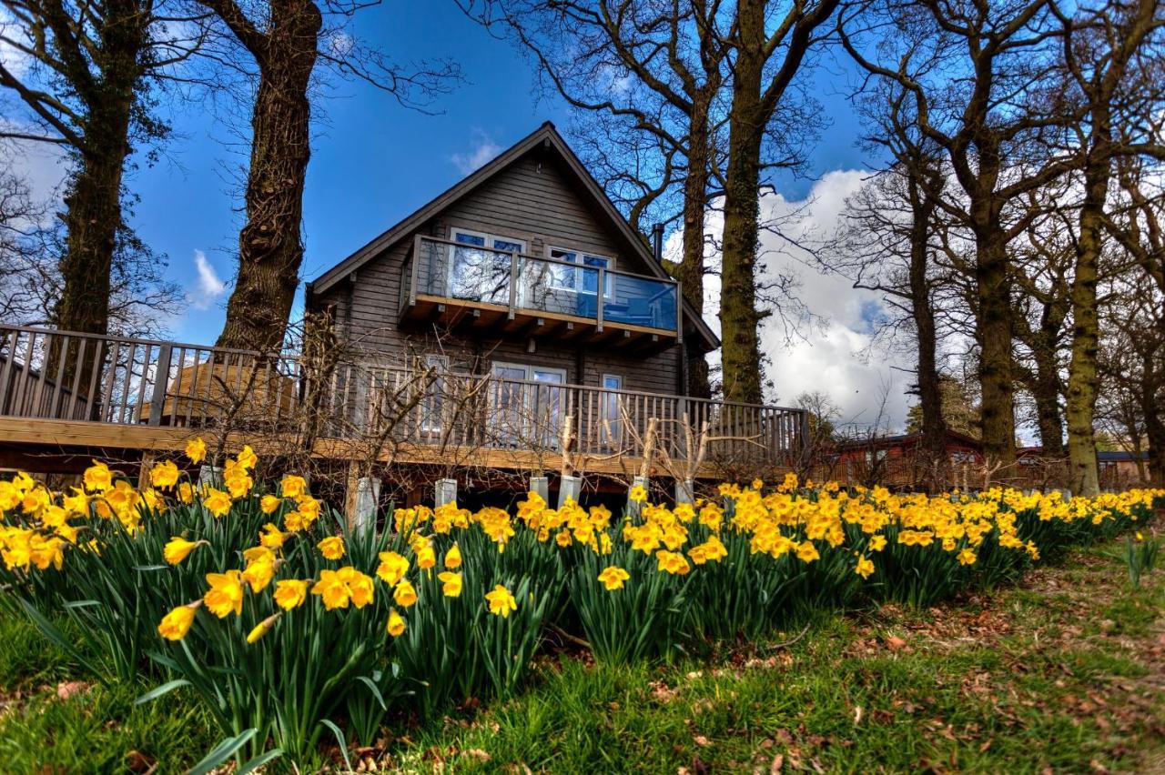 Ilodge Ultra Louth  ภายนอก รูปภาพ