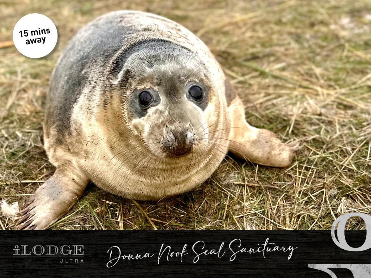 Ilodge Ultra Louth  ภายนอก รูปภาพ
